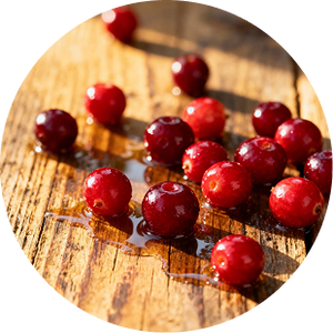 CRANBERRY POWDER