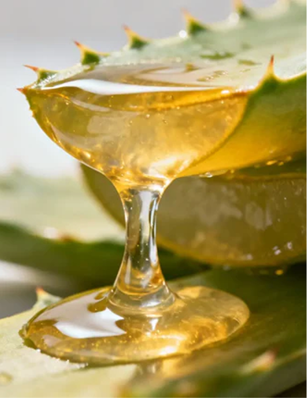 Aloevera