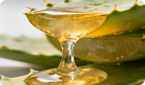 ALOE VERA GEL